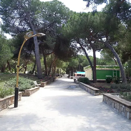 Les Pins Dores *