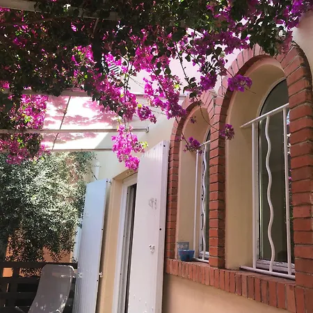 Vila Les Pins Dores Antibes